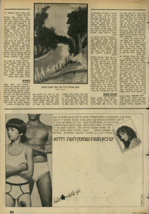 העולם הזה - גליון 2276 - 15 באפריל 1981 - עמוד 85 | יוחנן סימון, לא העזה ניצה (סימון) קדמון, עד לפני כשנה, לצאת עם תערוכה פרי מכחולה. כשנפטר אביה, לפני כחמש שנים, הח ליטה הג׳ינג׳ית הלוהטת לממש את צוואתו. נטלה את