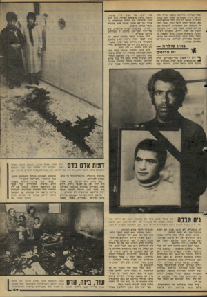 העולם הזה - גליון 2277 - 22 באפריל 1981 - עמוד 50 | כפרי האיזור, ובראשה הועמד שייח׳ סלח חניסס, דרוזי משפרעם שהיה הבר־כנסת. ועדה זו הגיעה לג׳וליס כבר במוצאי־הש־בת, וכאשר חזרה לכפר יסיף נמסר לחברי המועצה שם