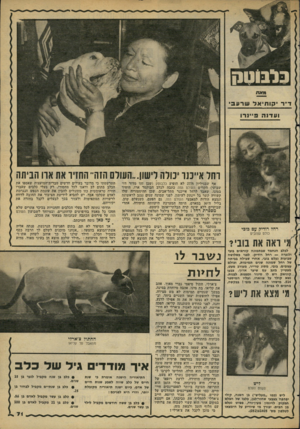 העולם הזה - גליון 2278 - 29 באפריל 1981 - עמוד 71 | כלנוטק רחל רודיק עם כוכי כולם עצובים לכלב הנחמד שבתמונה קוראים בובי ולנערה — רחל רודיק• לפני כשלושה שבועות נעלם בובי, אחרי שבילה בביתה של רחל שמונה שנים