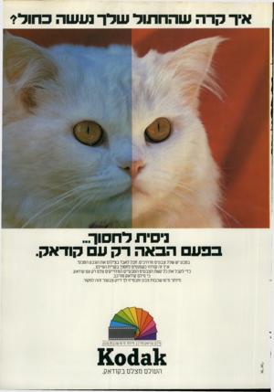 העולם הזה - גליון 2280 - 13 במאי 1981 - עמוד 39 | איר ברה שהחתול שלן־ נעשה ב חול? לסיח לחסוך״ בני ע הבאה רק ע קודאק. בטבע יש שלל צבעים מרהיבים. חבל לאבד בצילום את הצבע הטבעי. איך זה קורה? כשמנסים לחסוך בקניית