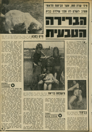העולם הזה - גליון 2281 - 20 במאי 1981 - עמוד 47 | מיהי שדה חמו, אשר הניסוח מסרב לשום רה מבני שירדה נבית הגוידה הטנווית דמך 11 עם העז ״בובה״ .השכנים התלוננו בעירייה שהעז מעלו! 1 1 - 1 0 . 1 11 11 צחנה. הפקחים