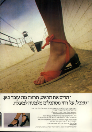 העולם הזה - גליון 2282 - 27 במאי 1981 - עמוד 48 | ־ תרים את הראש, תראה מה עובר כאן. ־ טמבל, על רוזי מסתכלים מלמטה למעלה. ־ זה אתה אמרת, תגיד לי זו לא תיסרוקת פאנק? מענין מי המעצב שלה, גילי, קובי, מריו חביבי,