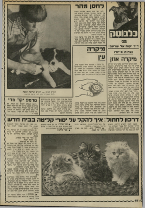 העולם הזה - גליון 2282 - 27 במאי 1981 - עמוד 83 | לחסן מהר מאת דייר • קוחיאלשרעבי ועדנה ם י ינדו לפני חצי שנה שטפה פאניקת הפרוו את ישראל (מדובר במחלה נגיפית חד שה, שנתגלתה לפני שנתיים ומארצות־הברית והופצה משם