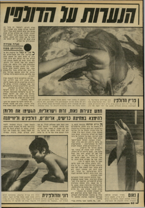 העולם הזה - גליון 2286 - 24 ביוני 1981 - עמוד 82 | ונקרע לגזרים. לישראלי יש סיכוי רב להיתקל בכריש מסוכן בים הפתוח.״ לכן מציעה איב שלא להיכנס למים מבלי לדעת לשחות ולצלול. אם נתקלים בכריש במים עמוקים, הדבר הנכון