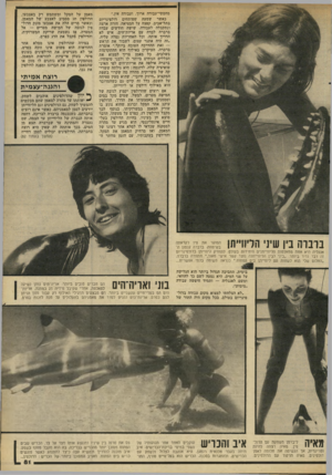 העולם הזה - גליון 2286 - 24 ביוני 1981 - עמוד 83 | מחפשי־עבודה ארוך, ועבודד. אין.״ כאשר שמעה שפותחים דולפינריום בתל־אביב, קפצה על המציאה, חזרה ארצה ונתקבלה לעבודה. שישה חודשים עבדה ברברה לבדה עם אריות־הים. איש