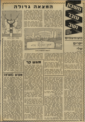העולם הזה - גליון 2288 - 8 ביולי 1981 - עמוד 20 | המצאה גד ו לה אתם תיראו עוד איך שכל המדענים המפוקפקים ילחכו את העפר מנעליו של יעקב מרידור ! אתם עוד תיראו איך הם יחזרו בהם, העיתונאים הנלוזים, מכל ההשמצות אשר