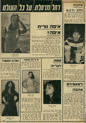העולם הזה - גליון 2288 - 8 ביולי 1981 - עמוד 43 | אהבת חלב ודבש ו 10 01111010ע !011111 יש לו בל מה שצריך בשביל לשגע אותי על כל הראש: קול עמוק, המשגע את כולנו, יופי טיבעי, וגם הצלחה לא חסרה לו. זהו יהודה תמיר