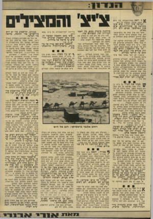 העולם הזה - גליון 2289 - 15 ביולי 1981 - עמוד 35 | ני יושב בחדר־העבודה שלי ביום > השבת בבוקר, ומשקיף על הים. המראה אינו רגיל: איש אינו מתרוצץ על שוכרי־הגלים, איש אינו משתכשך כמים. הים ריק מאדם. נדבר הזה אינו