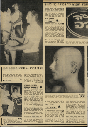העולם הזה - גליון 2289 - 15 ביולי 1981 - עמוד 43 | ז חב יה התקבצו ליד הבריכה כדי לחגוג את יום־הולדתו ה־ ,37 ושבא מירושלים עם אשתו עמיאלה. היו שם התחקירנים, התפאורנים, הצלמים ושאר עובדים• ה־אמנים שהופיעו במשך
