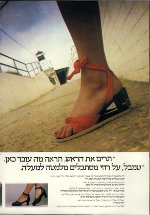 העולם הזה - גליון 2292 - 5 באוגוסט 1981 - עמוד 12 | ־ תרים את הראש, תראה מה עובר כאן. ־ טמבל, על רוזי מסתכלים מלמטה למעלה. ־ זה אתה אמרת, תגיד לי זו לא תיסרוקת פאנק? מענין מי המעצב שלה, גילי, קובי, מריו חביבי,