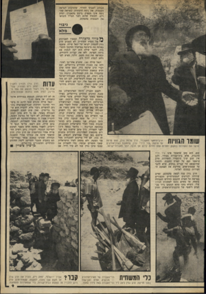 העולם הזה - גליון 2293 - 12 באוגוסט 1981 - עמוד 10 | הכתיב לאברך החרדי, שהזדעזע למראה העצמות, את נוסח ההצהרה. כשראה שה נוסח אינו מספיק, ביקש מהאברך, יצחק וייס, להוסיף שהוא ושני חבריו הוציאו את העצמות מהמקום.