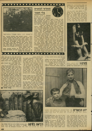 העולם הזה - גליון 2293 - 12 באוגוסט 1981 - עמוד 55 | שנאו גם את אוונטורה, עד שהמבק הצרפתיים סיפרו להם שהסרט הזה דעי לך דבר אחד: המבקרים יכו להיות יותר גרועים, אנטוניוני — קים רים טוב. לים יש לו הרגשה שכך ייקרה גם