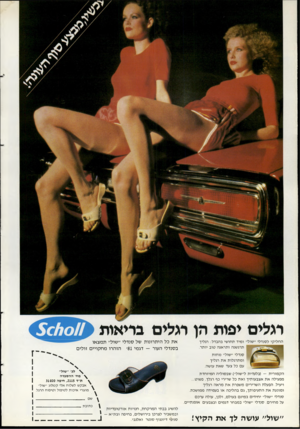 העולם הזה - גליון 2293 - 12 באוגוסט 1981 - עמוד 73 | מלי ם יפות הן מלי ם בריאות ה ח לי קי ל סנ ד לי ״שול״ ו מי ד תחו שי בהבדל: רגליך תרג שנה ותר אנ ה טו ב יו תר. 5011011 את כל היתרונות של סנדלי ״שול״ תמצאו בסנדלי