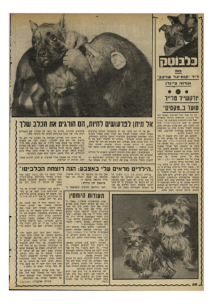 העולם הזה - גליון 2294 - 19 באוגוסט 1981 - עמוד 58 | לא כל אחד יכול להרשות לעצמו לא כול בנזקסיס, המיסעדה הידועה שבפריס. אבל אחת הלקוחות הקבועות של מקסים הודתה כי כלב היווק שייו־טרייר שלה זכה לאכול שם. היא פשוט