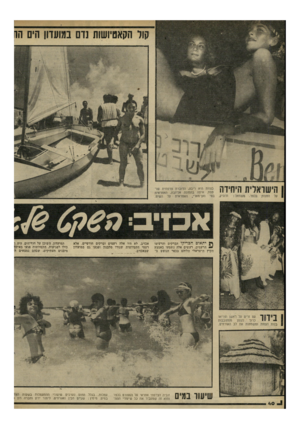העולם הזה - גליון 2295 - 26 באוגוסט 1981 - עמוד 40 | ךןית או ב. הבריקו הברקים והרעימו ״ הרעמים. רעשים אלה נשמעו באמצע הקיץ הישראלי הלוהט בכפר הנופש ב 11 ׳ 11ך 1111 111 ^ 11 #1 אכזיב. לא היו אלה רעמים וברקים
