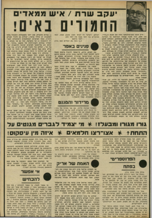 העולם הזה - גליון 2301 - 5 באוקטובר 1981 - עמוד 60 | יעקבשרת /איש ממא די ם החמורים נאים! ח״כ דונקי שוט־שילנסקי גילה את סכנת ה״גורו״. אין ספק, זוהי סכנה עצומה המרחפת על המדינה ומאיימת לא רק על הורים אומללים,