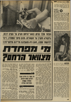 העולם הזה - גליון 2304 - 28 באוקטובר 1981 - עמוד 60 | ספצ צו תבס ־ ח ־ ם (המשך מעמוד )59 הנהג היווני מפליא בנהיגתו המנוסה בדר כים המסוכנות. המוסיקה היוונית חודרת ללב, ואז העמק היפהפה עם אלף תחנות הרוח המסתובבות