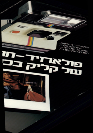 העולם הזה - גליון 2304 - 28 באוקטובר 1981 - עמוד 65 | 