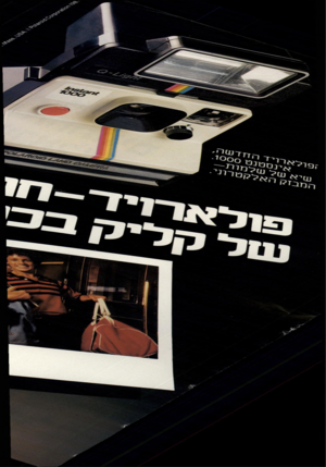 העולם הזה - גליון 2305 - 4 בנובמבר 1981 - עמוד 11 | 