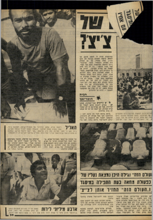 העולם הזה - גליון 2305 - 4 בנובמבר 1981 - עמוד 40 | המישטרה עזרה לו לחפש אותם, אך לשווא. מישהו האשים בגניבה את כתב הארץ, אילן שחורי. אך גם הצחוק היה מאולץ, כשצעיר ערבי במיכנסי־ג׳ינס וחולצה מפוספסת, בשם סמי קאדי,