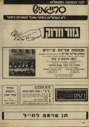 העולם הזה - גליון 2305 - 4 בנובמבר 1981 - עמוד 61 | לבני הכותנה רינוווול לא הגדולים ביו תר-אבל הטובים ביותר נפתחהמ רינ ה צ׳ייני ס במלון מדינה בת״י 0 שד׳ בן-גוריון 436 טל 03-596111 : מסעדה נוספת בשרשרת המס עדו ת