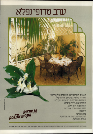 העולם הזה - גליון 2310 - 9 בדצמבר 1981 - עמוד 42 | ערב טרופי נפלא ני תםמער כו תתד מי ת הגנים הטרופיים, הופכים כל אירוע לחויה בלתי נשכחת, חויה של סעודה משובחת ושירות מעולה. החורף בא. ליד כוסית המחממת את הלב,