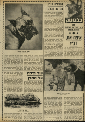 העולם הזה - גליון 2310 - 9 בדצמבר 1981 - עמוד 44 | השמים ונים על גב הכלב בלבוטק מאת ד״ר י 3ותיאד שרעב ועדנה פיינרו אינה את, דבי? אין ילד בשכונה שאינו מכיר את דבי. היא אומנם בת 10 כבר, אבל עדיין ידידותית לכל אדם