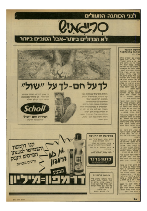 העולם הזה - גליון 2312 - 23 בדצמבר 1981 - עמוד 24 | לבני הבותנה המעולים לא הגדולים ביו תר-אבל הטובים ביותר זשופט המכבד זסתבך בהרפתקאה פעמים גם שופטים נופלים :פח ...על כך יעיד הסיפור ;בא: מר א. גבעוני(שם בדוי)