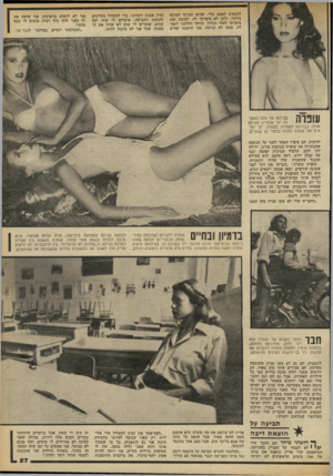 העולם הזה - גליון 2313 - 30 בדצמבר 1981 - עמוד 57 | להכאיב לאמא שלי, שהיא חברתי הטובה ביותר, ולכן לא סיפרתי לה. לעומת זאת סיפרתי לאחי הגדול, וביחד החלטנו לספר לה. אמא לא הגיבה. אני חושבת שהיא הדין אמנון זיכרוני,