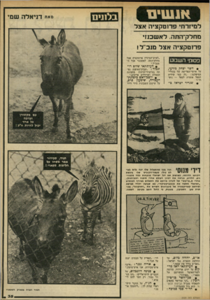 העולם הזה - גליון 2320 - 17 בפברואר 1982 - עמוד 36 | אנשים בלונים מאת דני אל ה שם׳ למיזרח, פדוטקציה אצל מחלק־התה. לאש כנזי פרוטקציה אצל מוב׳זל ! פסוקי השבוע ״לאיש־המיזרח פרוטקציה אצל מחלק־התה. לאשכנזי אצל
