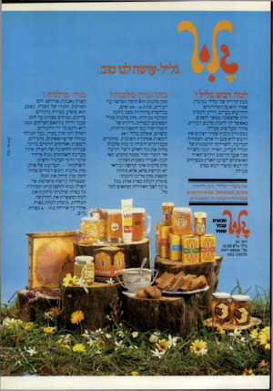 העולם הזה - גליון 2320 - 17 בפברואר 1982 - עמוד 67 | למה דבש גליל? את מוצרי ״גליל״ ניתן להשיג בשקם, בשופרסל, בסופרמרקטים בצמחוניות ובחנויות המובחרות. מכוורת קבוץ שמיר דאר נע גליל עליון 12135 טל 067-41826 :