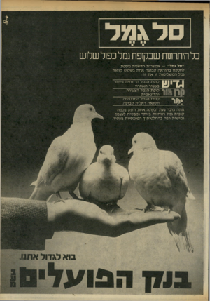 העולם הזה - גליון 2322 - 3 במרץ 1982 - עמוד 27 | ל\ מ ל כלהיתרונותשבקופתגמלכפולשל1ש ״סל גמל״ — אפשרות חדשנית נוספת לחסכון בהוראה קבועה אחת בשלוש קופות גמל המ שלימו ת זו א ת זו : קופת הגמל הרווחית ביותר בעשור
