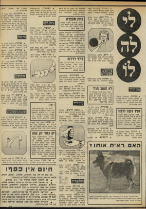 העולם הזה - גליון 2323 - 10 במרץ 1982 - עמוד 43 | * מחירים עממיים. שמי ניסט מקרין סרטים לילדים לימי־הולדת במחירים עממיים. טלפון 482920־.03 * אחד כאס. מבקש שניים נגני גיטרות, אחד באס שניים סולו, להקמת הרכב