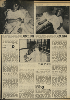 העולם הזה - גליון 2326 - 31 במרץ 1982 - עמוד 37 | בגו בההלב נפצעה עיישה אל ברע׳ותי, שליוותה את בת־דודתה לבית־העירייה על מנת להוציא רשיון יציאה לעמאן, מקום מגוריה. לדבריה לא הפגינה כלל. היא הלכה לתומה ענו