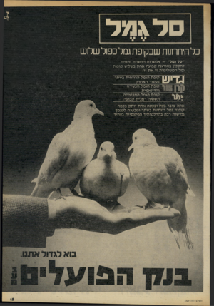 העולם הזה - גליון 2329 - 21 באפריל 1982 - עמוד 16 | סד גמד כל היתרונות שבק 1פת גמל כפל שלנש ״סל גמל״ — אפש רו תחד שני ת נו ספת לחס כון ב הו ראהק בו עהאחתב שלו שקופות גמלהמש לי מו ת זו א ת זו : 158181 קו פתהגמלה