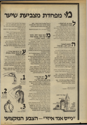 העולם הזה - גליון 2329 - 21 באפריל 1982 - עמוד 17 | מי מפחדת מצביעה שיער צבוע או לא לצבוע- זאת ההתלבטות הביטי בראי. השיער שעל ראשך הוא המרכיב העיקרי במראך הכללי. גם הראש הצעיר ביותר זקוק מדי פעם לרענון. השיער