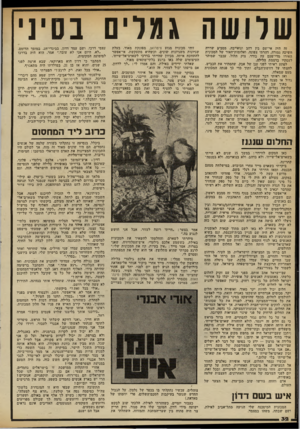 העולם הזה - גליון 2329 - 21 באפריל 1982 - עמוד 34 | שלושה גמדים נס׳]׳ זד, היד, אי־שם בין דהב ונואייבה. מסביב שררה חשיבה גמורה. דהרתי צפונה, ואלומות־האור של המכונית האירו מדי־פעם עץ בודד, צוק תלול, עכבר שמיהר