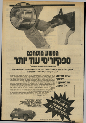 העולם הזה - גליון 2330 - 28 באפריל 1982 - עמוד 23 | ה 9שע מתוחכם ספהיוויט עוד ותר מ ערכ ת הגנה מ 1עו ד מ תג 19-עוקד דיום* * מ71 ץ ד אלחוטי ממוחשב *ניי דו ת סיור פרטי 1ת* אנ שי אבטחה מאומנים כלבי ת קיב ה* ק שר