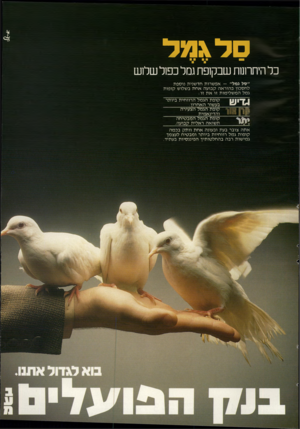 העולם הזה - גליון 2330 - 28 באפריל 1982 - עמוד 41 | ס ד אמד כ ל היתרונות ש ב קו פ ת גמל כפול שלו ש ״סל גמל״ — אפשרות חדשנית נוספת לחסכון בהוראה קבועה אחת בשלוש קופות גמל המ שלימות זו א ת זו : קופת הגמל הרווחית