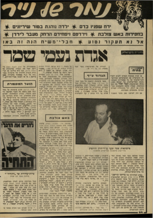 העולם הזה - גליון 2330 - 28 באפריל 1982 - עמוד 66 | בחפירות באש צולבת 1רדפ ם !פחידם הרחק מעבר לירדן ^ אלנאתעקורנטוע ^ חבלי ־ משיחהגה זה ב א ! החח־ייה הישראלית אגדת נעמי שמר לשיריה של הפיזמונאית נעמי שמר מוקדש
