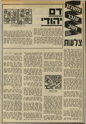 העולם הזה - גליון 2331 - 5 במאי 1982 - עמוד 61 | כדוריות אדומות ולכנות מימין: דם יהודי. מישמאל: דם גויי צרעות היום הגדול הגיע. ערב נורא־הוד התחיל לרדת על מידבר יהודה. במערב צנח כדור־השמש הענק מעבר להרים, ורוח