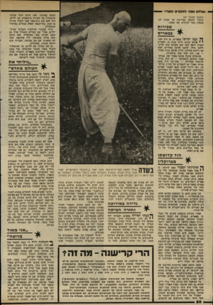 העולם הזה - גליון 2334 - 26 במאי 1982 - עמוד 53 | ,,שלת 1אות להכניס כסף יי׳ — לחוור, בהולנד. זאת היתד -חווה ענקית והתגוררו בה עשרות מישפחות עם ילדים. היה להם שם בית־ספר שבו לימדו מורות מן הסת. בתי־הספר האלה