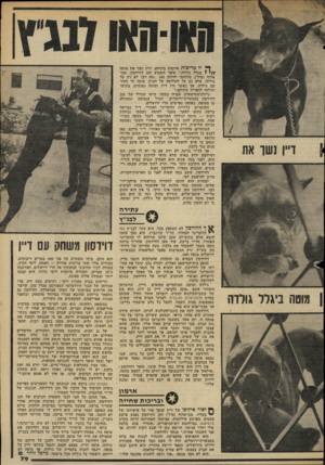 העולם הזה - גליון 2334 - 26 במאי 1982 - עמוד 82 | ^ יו מדיפות איומות ביניהם. דיין נשך את מוטה / /י י בגלל גולדה,״ סיפר השבוע חנן דווידסון, סגן- אלוף (מיל׳) ,מלוחמי יחידת . 101״הם רבו לא רק על גולדה, אלא גם על