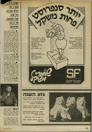העולם הזה - גליון 2336 - 9 ביוני 1982 - עמוד 32 | טוען כי סוד החיים האווכיס הוא נשים, אונו!תענוגות, ועד 13 אינו סוציאליסט 9יצחק רביו, שהיה רמטכ׳׳ל במילחמת ששודהימים, טוען שבניגוד לגירסה המקו בלת כיום, המילחמה