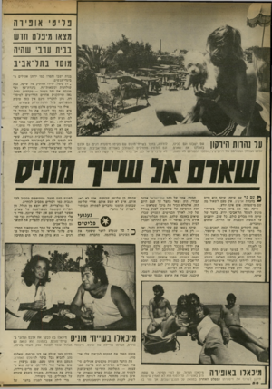 העולם הזה - גליון 2337 - 16 ביוני 1982 - עמוד 59 | פ לי ט׳ אופירה מצאו מיפלט הדש בביו 1עובי שהיה מוסוו בתדאביב ער נהרות הירקוו ״נדצ אלכם הצוללן המפורסם של דרום־סיני, וכלבו המפורסם לא פחות, מ( עם גר שם שיקה.