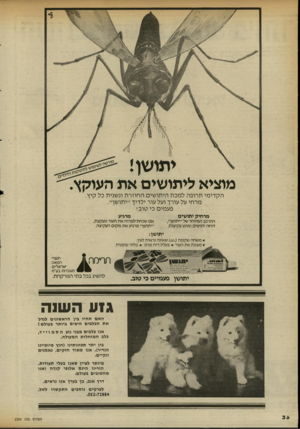העולם הזה - גליון 2339 - 30 ביוני 1982 - עמוד 37 | מוציא ליתושים את העוקץ. ה ק די מי תרופה למכת היתו שים ה חוז ר ת ונשנית כל קיץ. מרחי על עורך ועל עור ילדיך ״יתו שן״. פעמים כי טוב! מרחיק יתושים ההרכב המיוחד של