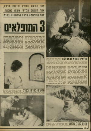 העולם הזה - גליון 2339 - 30 ביוני 1982 - עמוד 49 | אחו הוושע והסתיו ן־כניסתו לכלא, אחו הואשם עדיווי *1שתו! בהנאה, אחת התנשטה בנעם הראשונה בסוס המשלאיס חווה. נשות חברה שונות, שבאות לרכוב כדי להעביר את זמנן,
