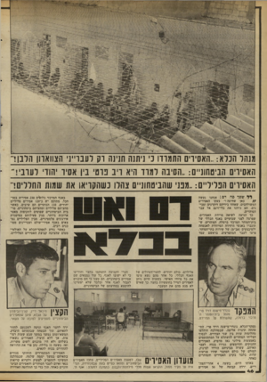 העולם הזה - גליון 2340 - 7 ביולי 1982 - עמוד 47 | מנהר הנרא.. :האסיוים החמוד! ני ניתנה חנינה וק ד ענו״נ׳ הצ 1ואוון הרנן ו האסיוים חניסחונ״ם.. :הסיבה דמוד היא ריב 3וטי בין אסיר יהודי לעוני!• האסירים הפליליים..