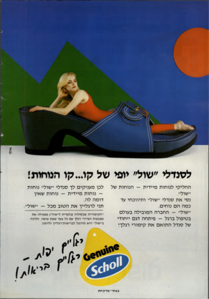 העולם הזה - גליון 2341 - 11 ביולי 1982 - עמוד 42 | לסנדלי ״שול״ יופי של קו ...קו הנוחות! החליקי לנוחות מיידית — הנוחות של נסי את סנדלי ״שול״ ותיווכחי עד כמה הם נוחים. ״שול״ — החברה המובילה בעולם בטיפול ברגל