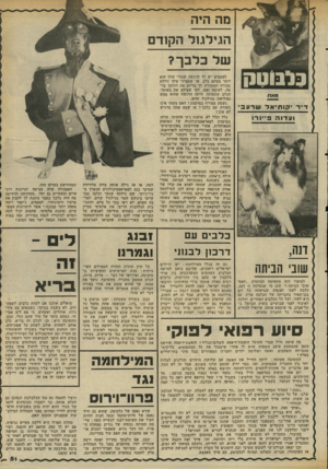 העולם הזה - גליון 2342 - 21 ביולי 1982 - עמוד 51 | מה היה הגילגול הקודם של כלבך? בלנוווק 11X91 דייר ׳ קותיאלשרעב ו ע דנ ה פיינרו לפעמים יש לך הרגשה שגורי שלך ד>וא יותר מסתם כלב, או שספוקי שלך זוללת בצורה